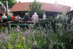 Polkaparti a Tájházban 2018-ban