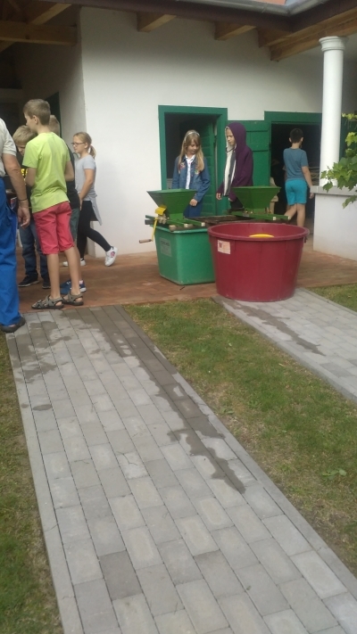 Szüret 2018 – iskolai projekt nap
