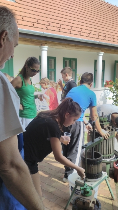 Szüret 2018 – iskolai projekt nap