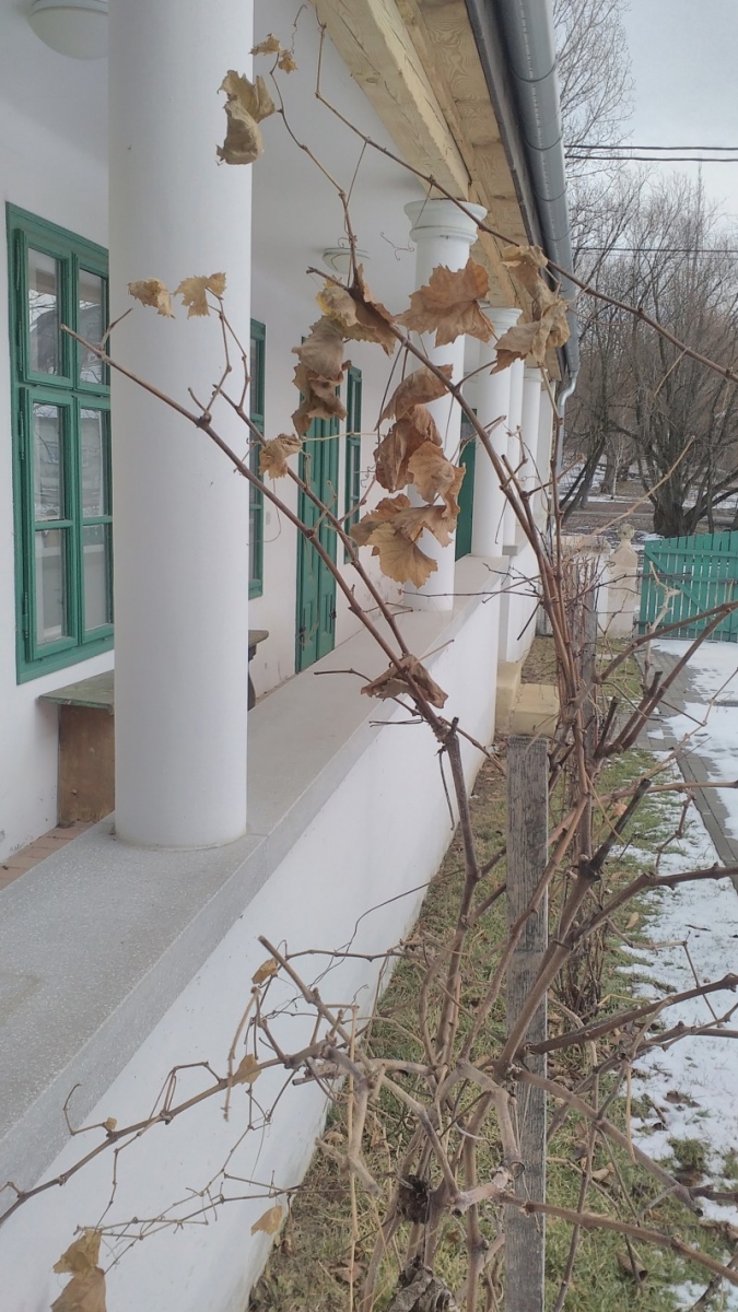 Bechtold Sváb Tájház Biatorbágy