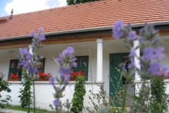 Bechtold Sváb Tájház Biatorbágy